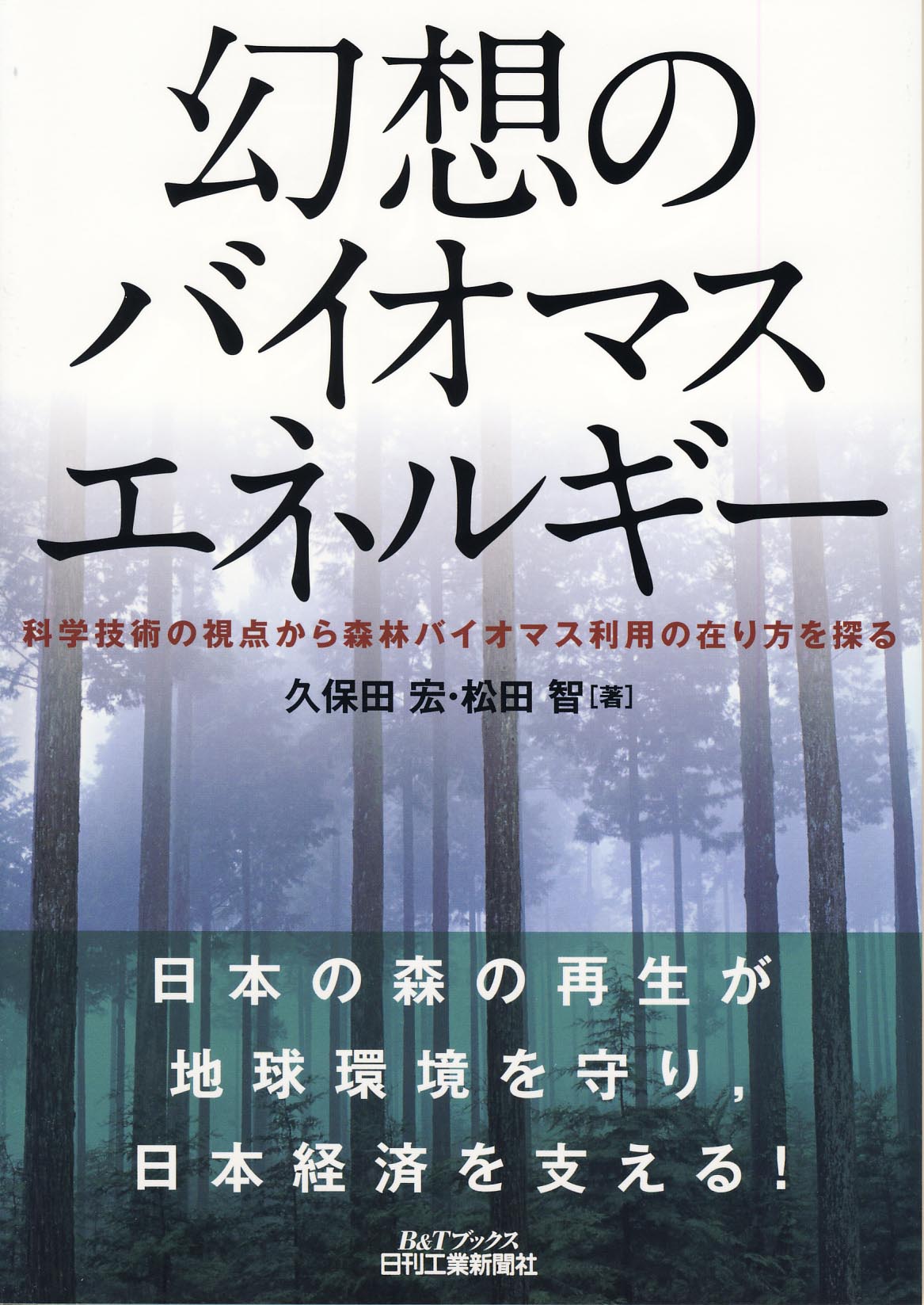 幻想のバイオマスエネルギー